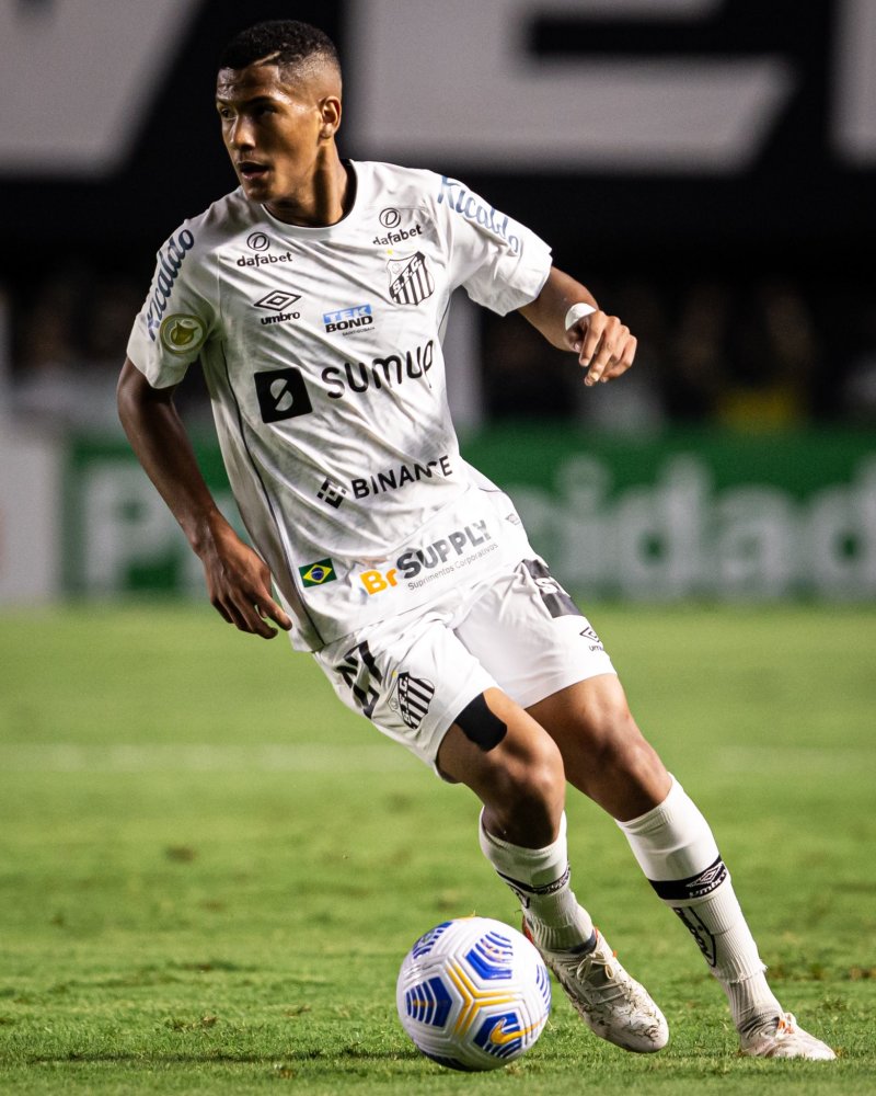 作为细分领 作为细分领