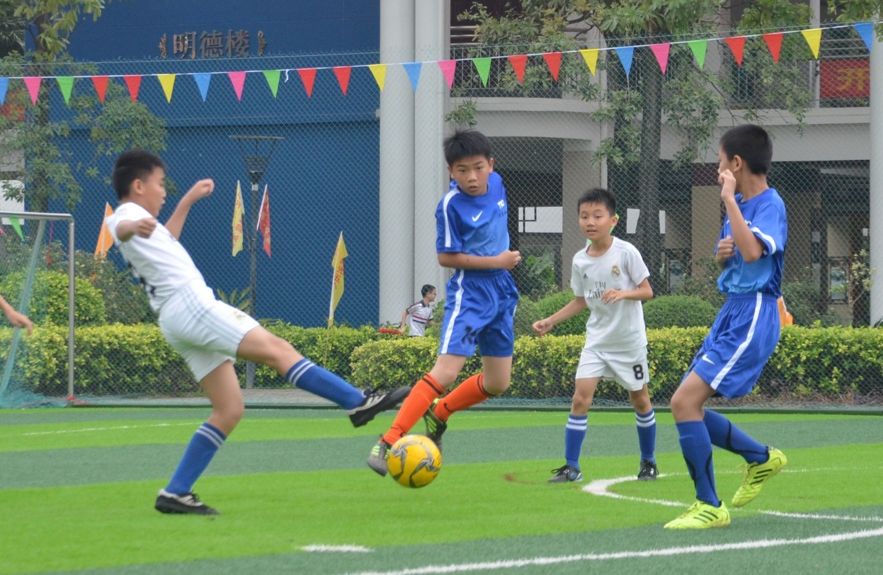 长期以来 长期以来