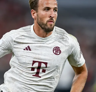 了越来越多 了越来越多