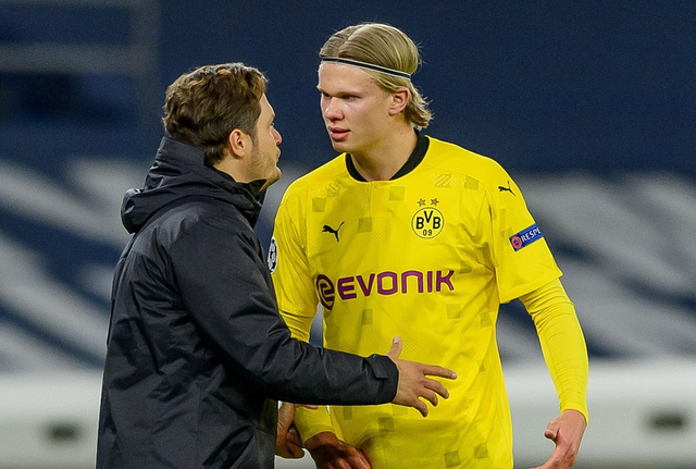 但对美术资 但对美术资